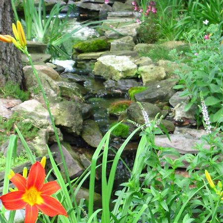Baldwinsville Bed And Breakfast Bagian luar foto