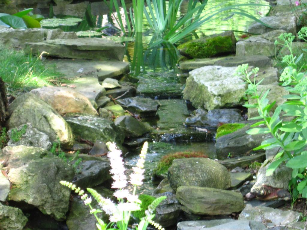 Baldwinsville Bed And Breakfast Bagian luar foto