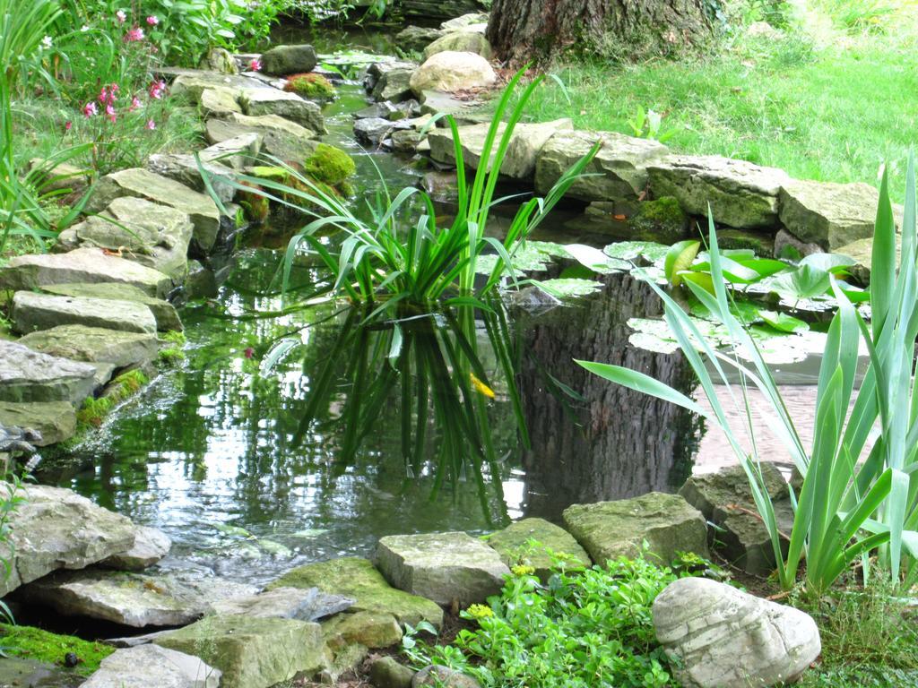 Baldwinsville Bed And Breakfast Bagian luar foto