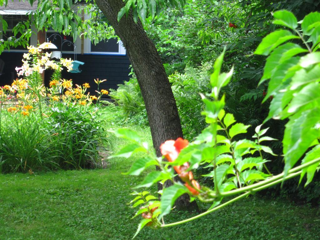 Baldwinsville Bed And Breakfast Bagian luar foto