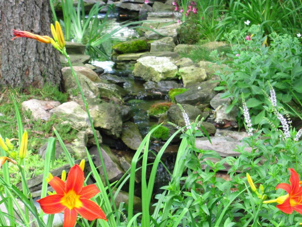 Baldwinsville Bed And Breakfast Bagian luar foto