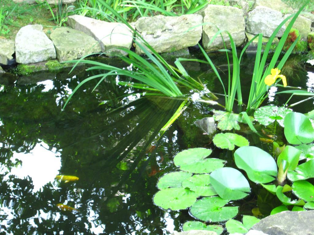 Baldwinsville Bed And Breakfast Bagian luar foto