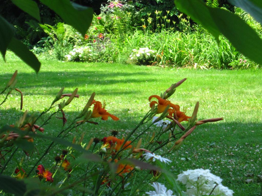 Baldwinsville Bed And Breakfast Bagian luar foto
