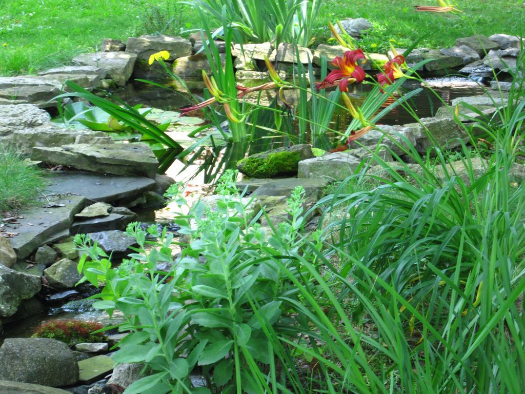 Baldwinsville Bed And Breakfast Bagian luar foto