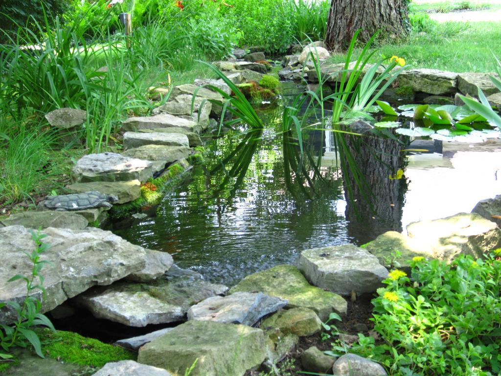 Baldwinsville Bed And Breakfast Bagian luar foto